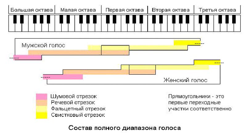 Тембры голосов мужские и женские. Диапазон тенора и баритона. Диапазоны голосов схема с октавами. Вокальный диапазон 4 октавы. Диапазон голосов певцов в октавах.